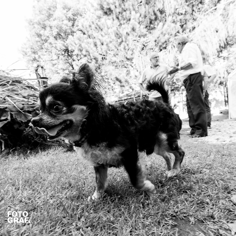 2373-filipfotografcz